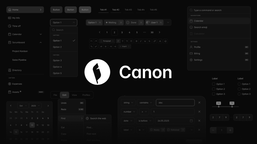Cover image of the Canon Design System